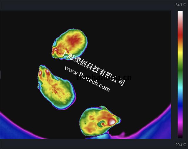 海(hai)康(kang)微影(ying)紅外熱成(cheng)像(xiang)技(ji)術(shu)對實(shi)驗(yan)小鼠進行科研(yan)觀(guan)測(ce)